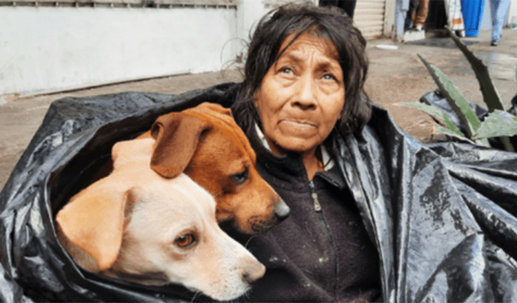 Dakloze vrouw weigert haar zes honden achter te laten voor een warm bed in een asiel