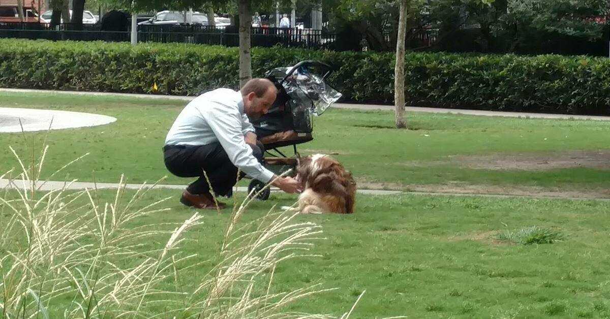 Eigenaar haalt zijn blinde hond uit de kinderwagen, dacht dat niemand naar hem keek als hij bukte