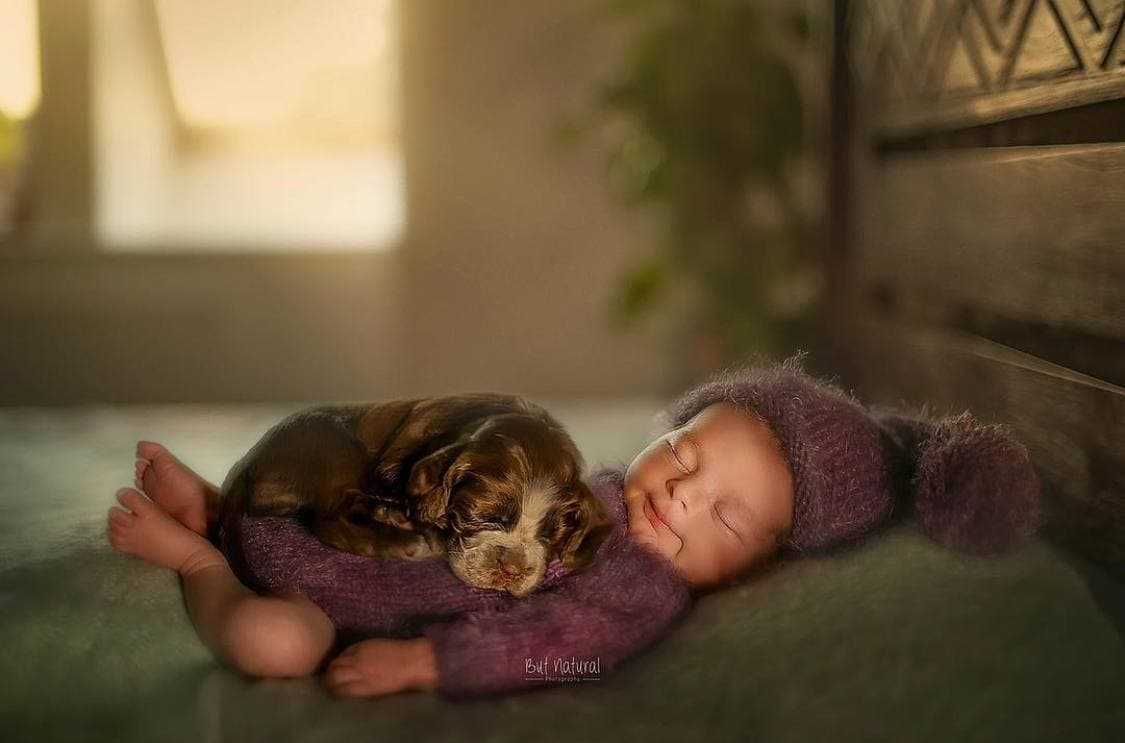 Een fotograaf fotografeert pasgeboren baby’s die knuffelen met dieren, en de foto’s zijn meer dan schattig