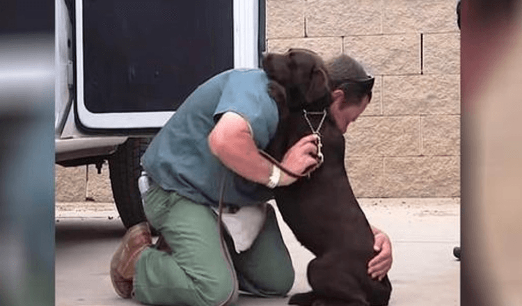 Hond werd weggebracht om te worden geëuthanaseerd, maar een gevangene gaf haar een stevige knuffel