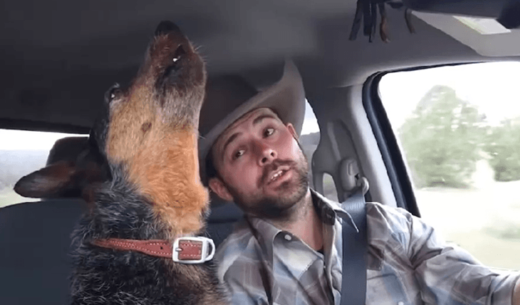 Hond zingt zoet duet met cowboy nadat haar favoriete liedje is begonnen