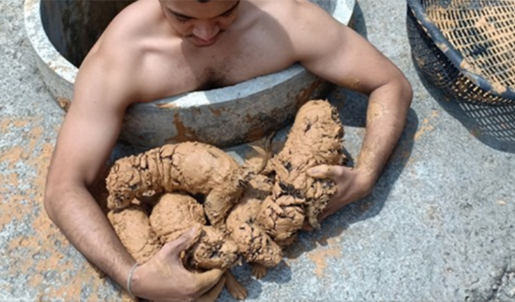 Man hoort 5 huilende puppy’s op de bodem van een put en springt erin om ze te redden