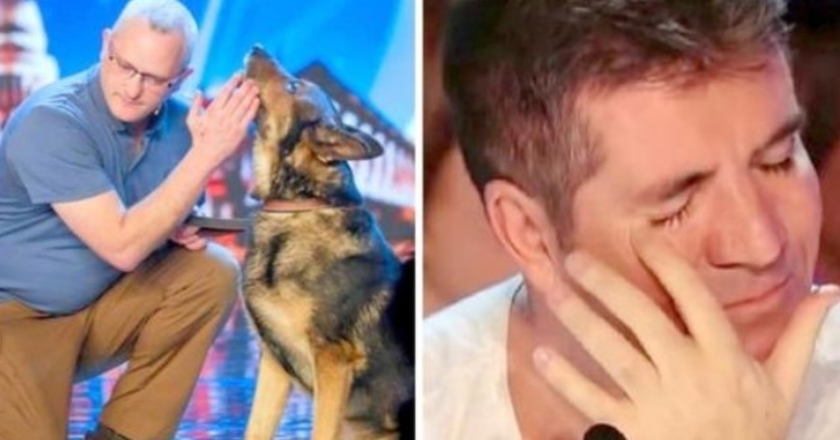 Politiehond neergestoken tijdens dienst, Simon Cowell vecht tegen tranen over BGT